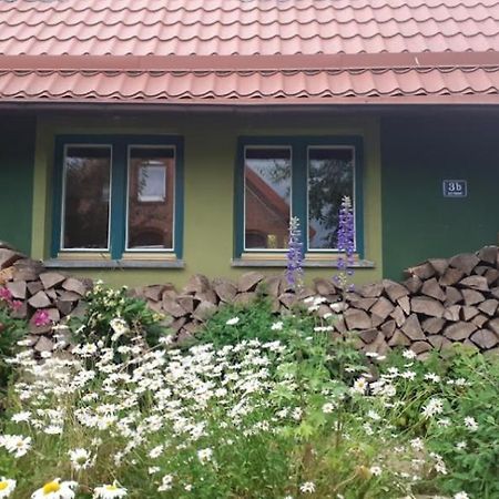 Zielony Domek W Sztynorcie Sztynort Buitenkant foto