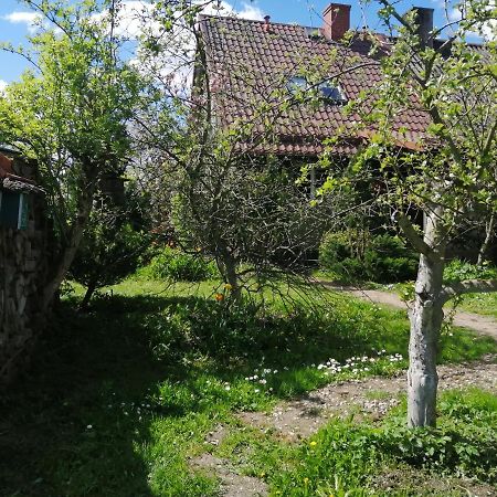 Zielony Domek W Sztynorcie Sztynort Buitenkant foto