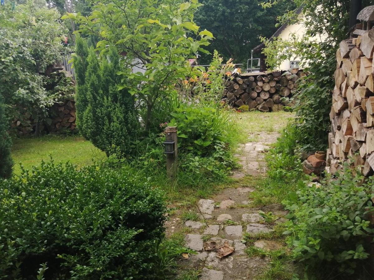 Zielony Domek W Sztynorcie Sztynort Buitenkant foto