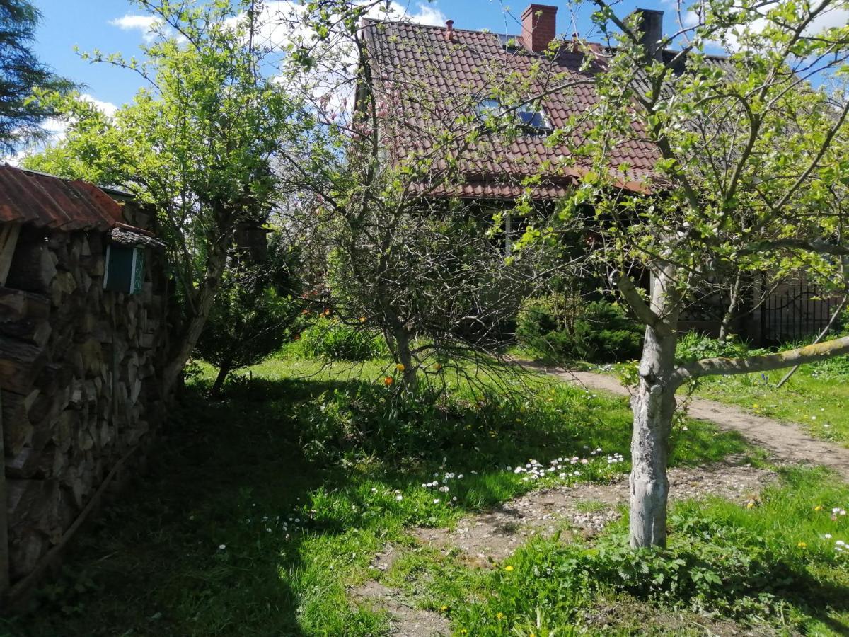 Zielony Domek W Sztynorcie Sztynort Buitenkant foto