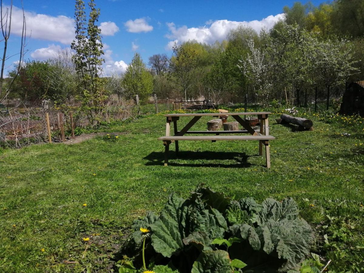 Zielony Domek W Sztynorcie Sztynort Buitenkant foto